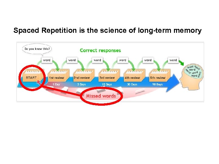 Spaced Repetition is the science of long-term memory 
