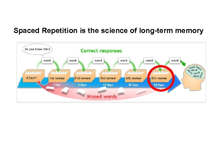 Spaced Repetition is the science of long-term memory 