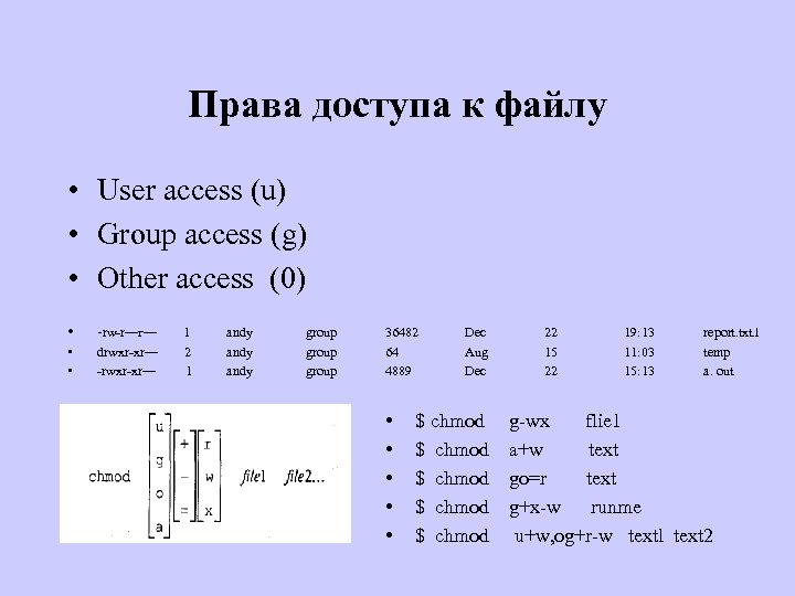 Права доступа к файлу • User access (u) • Group access (g) • Other