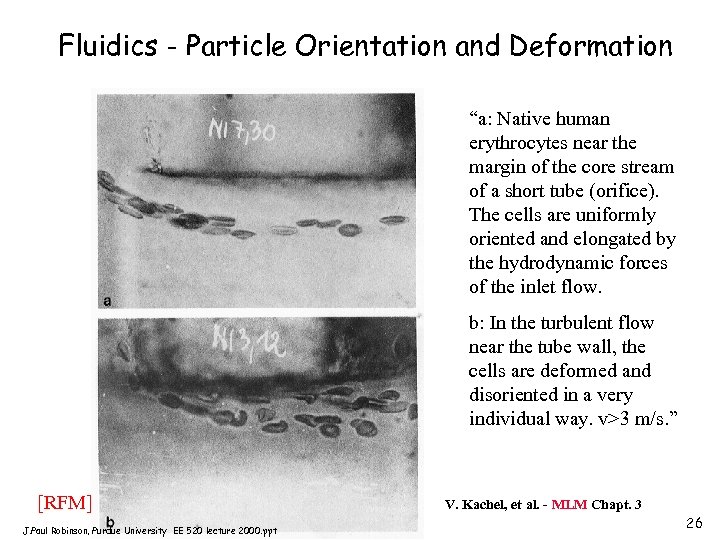 Fluidics - Particle Orientation and Deformation “a: Native human erythrocytes near the margin of