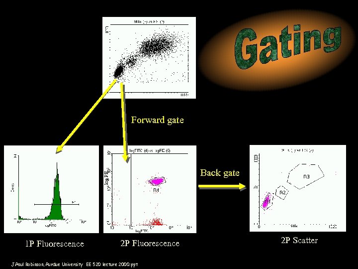 Forward gate log PE Back gate 1 P Fluorescence 2 P Fluorescence J. Paul