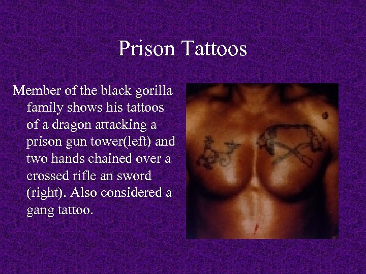 Prison Tattoos Member of the black gorilla family shows his tattoos of a dragon