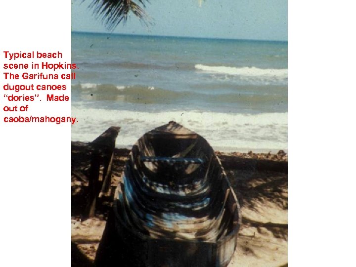 Typical beach scene in Hopkins. The Garifuna call dugout canoes “dories”. Made out of