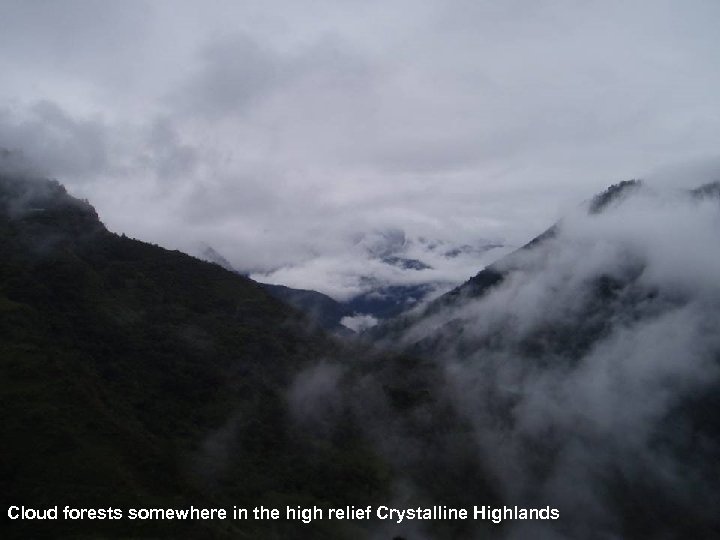 Cloud forests somewhere in the high relief Crystalline Highlands 