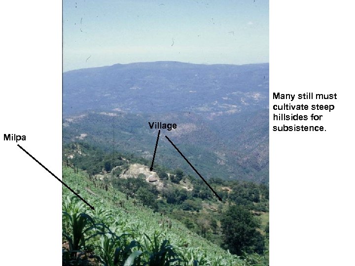 Village Milpa Many still must cultivate steep hillsides for subsistence. 