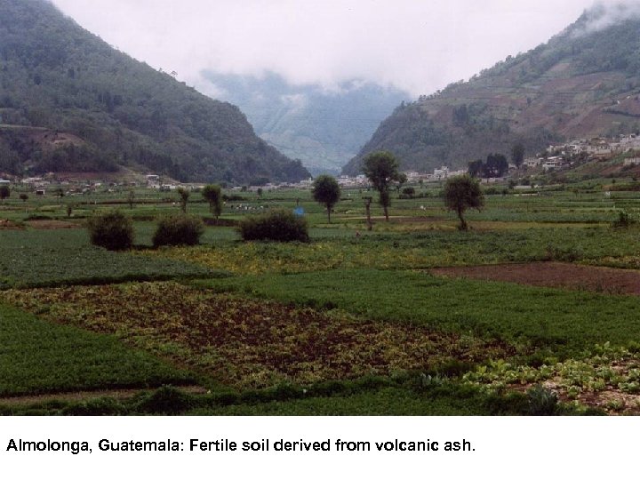 Almolonga, Guatemala: Fertile soil derived from volcanic ash. 