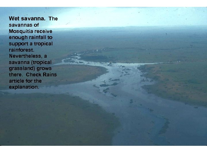 Wet savanna. The savannas of Mosquitia receive enough rainfall to support a tropical rainforest.