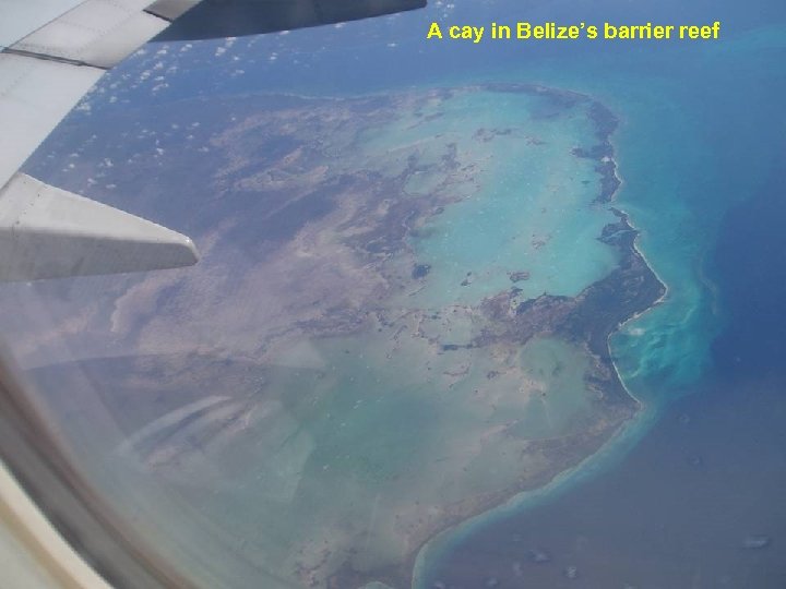 A cay in Belize’s barrier reef 