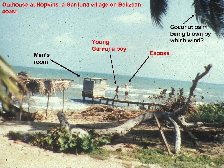 Outhouse at Hopkins, a Garifuna village on Belizean coast. Young Garifuna boy Men’s room