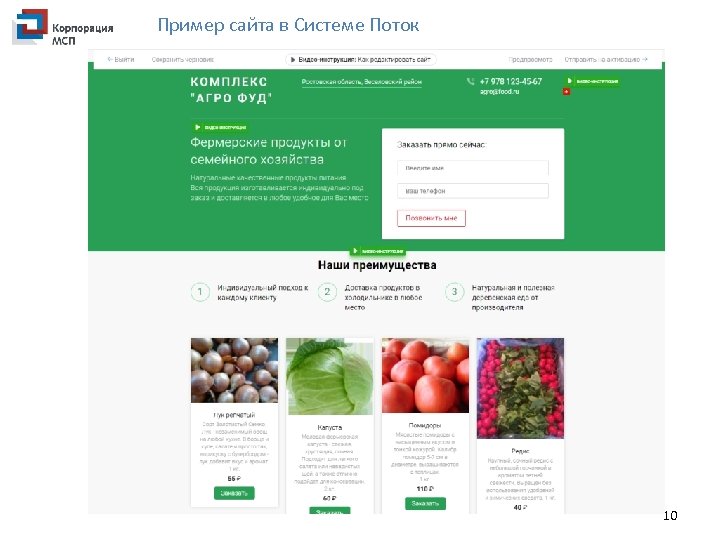 Пример сайта в Системе Поток 10 