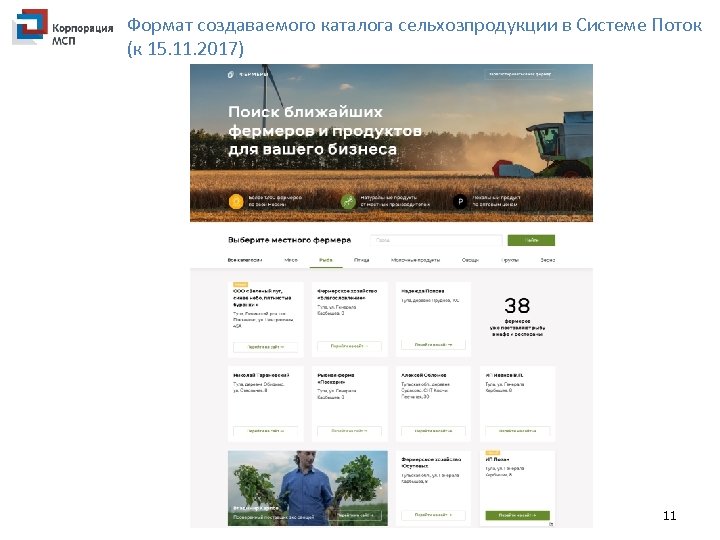 Формат создаваемого каталога сельхозпродукции в Системе Поток (к 15. 11. 2017) 11 