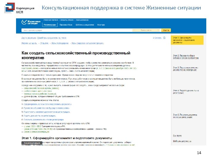 Консультационная поддержка в системе Жизненные ситуации 14 