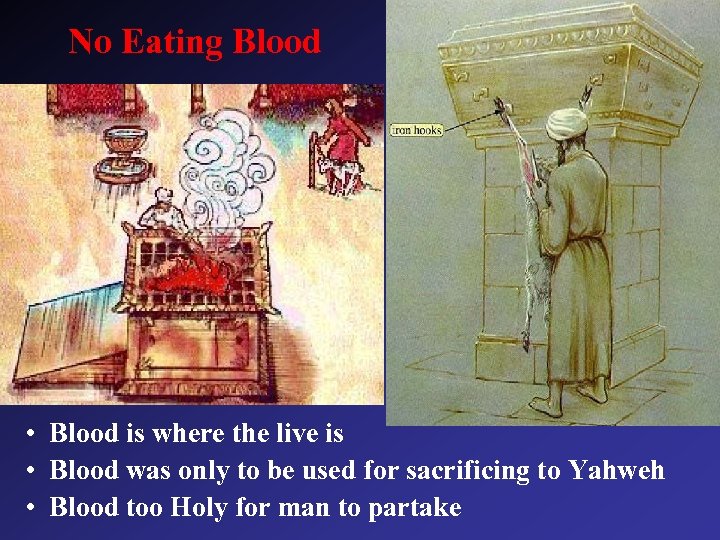 No Eating Blood • Blood is where the live is • Blood was only
