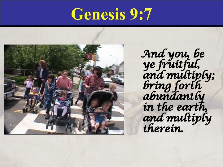 Genesis 9: 7 And you, be ye fruitful, and multiply; bring forth abundantly in