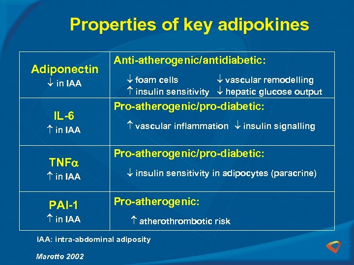 Properties of key adipokines Adiponectin in IAA IL-6 in IAA TNF in IAA PAI-1