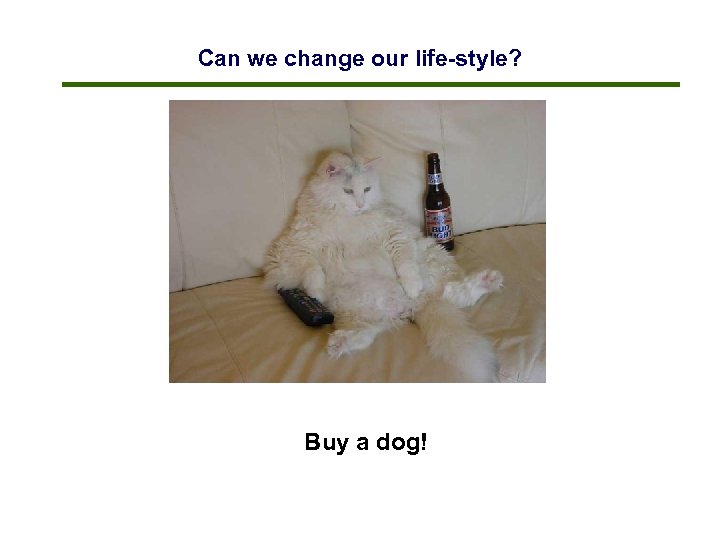 Can we change our life-style? Buy a dog! 