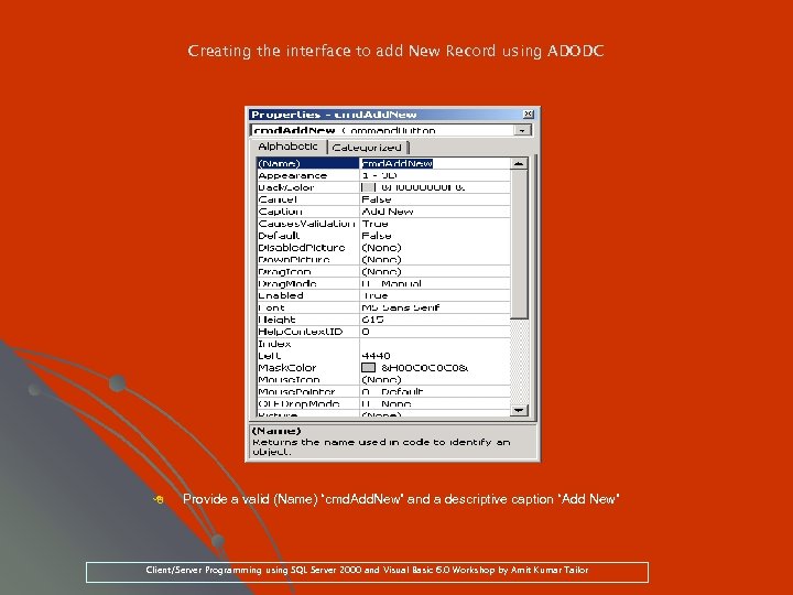 Creating the interface to add New Record using ADODC 8 Provide a valid (Name)