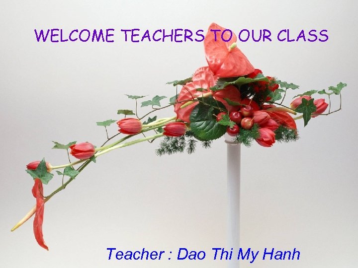 WELCOME TEACHERS TO OUR CLASS Teacher : Dao Thi My Hanh 