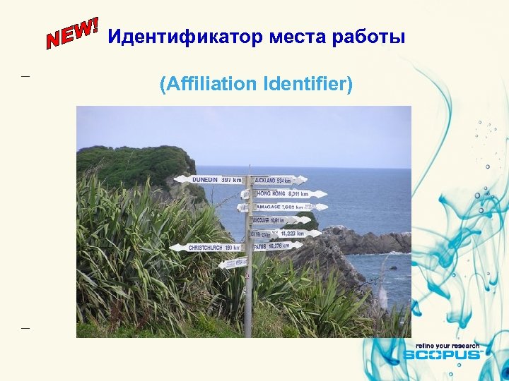 Идентификатор места работы (Affiliation Identifier) 