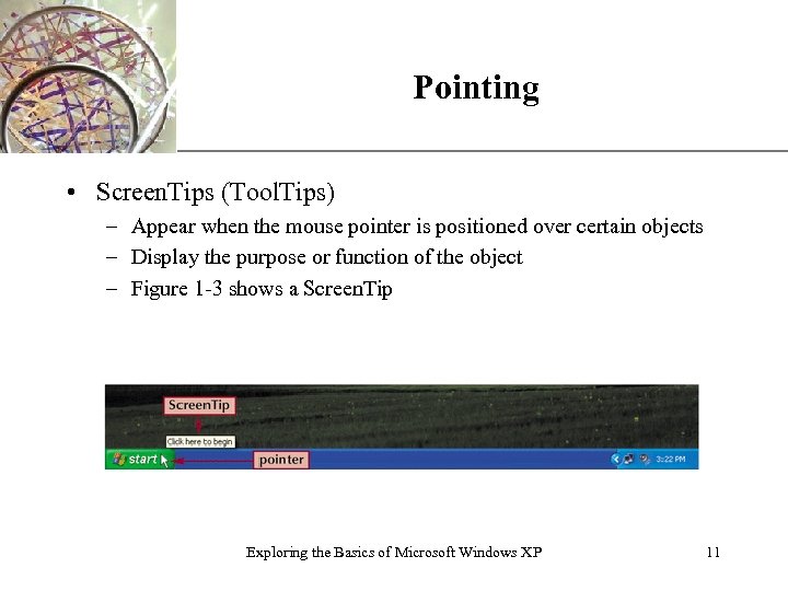 Pointing XP • Screen. Tips (Tool. Tips) – Appear when the mouse pointer is