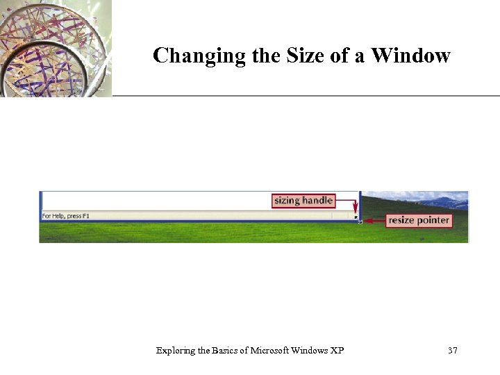 Changing the Size of a Window Exploring the Basics of Microsoft Windows XP XP