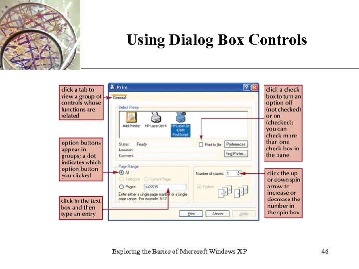 Using Dialog Box Controls Exploring the Basics of Microsoft Windows XP XP 46 