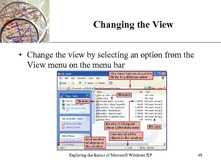 Changing the View XP • Change the view by selecting an option from the