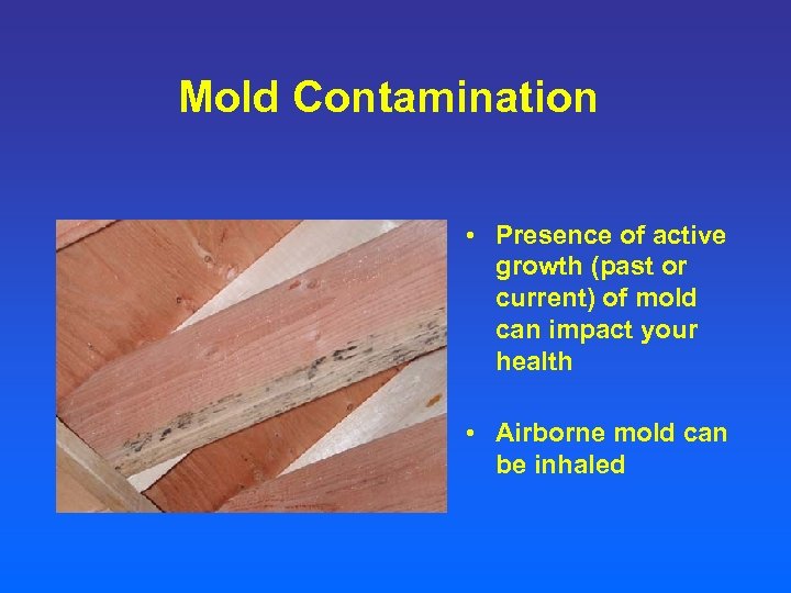 Mold Contamination • Presence of active growth (past or current) of mold can impact