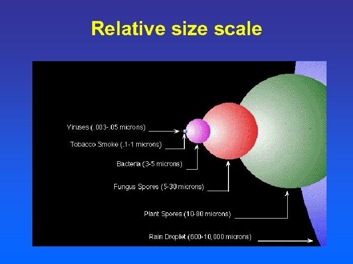 Relative size scale 