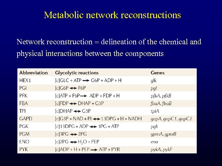 Metabolic network reconstructions Network reconstruction delineation of the chemical and physical interactions between the