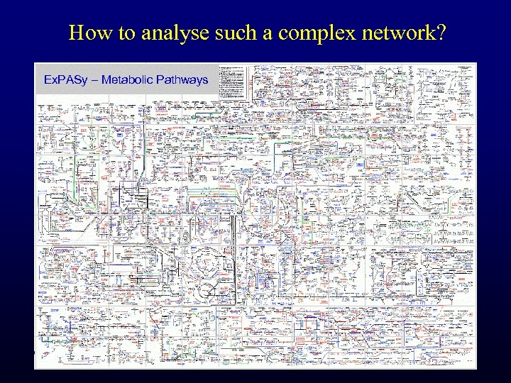 How to analyse such a complex network? Ex. PASy – Metabolic Pathways 