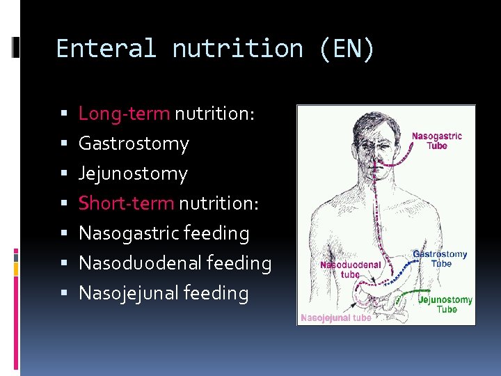Enteral nutrition (EN) Long-term nutrition: Gastrostomy Jejunostomy Short-term nutrition: Nasogastric feeding Nasoduodenal feeding Nasojejunal