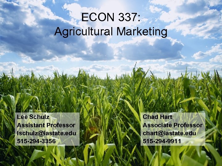 ECON 337: Agricultural Marketing Lee Schulz Assistant Professor lschulz@iastate. edu 515 -294 -3356 Chad