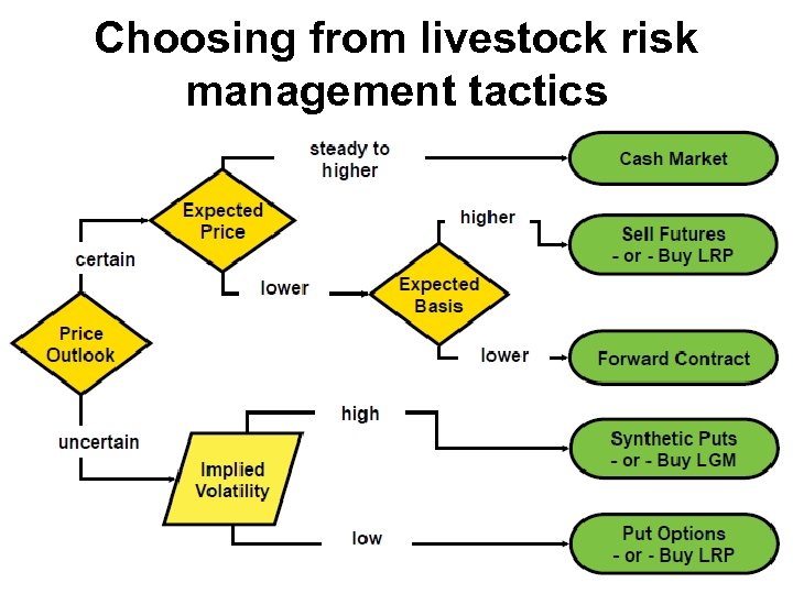 Choosing from livestock risk management tactics 