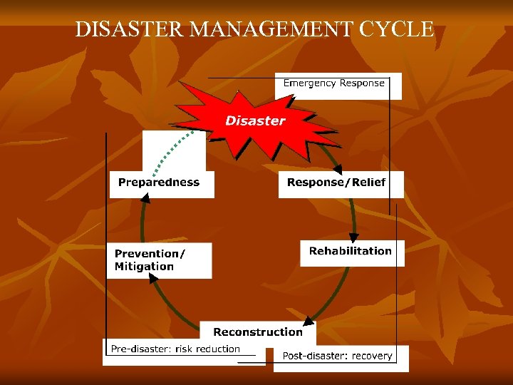 DISASTER MANAGEMENT CYCLE 