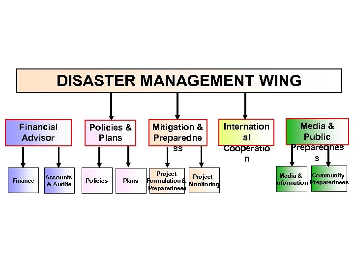 DISASTER MANAGEMENT WING Financial Advisor Finance Accounts & Audits Policies & Plans Policies Plans
