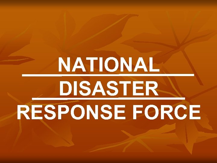 NATIONAL DISASTER RESPONSE FORCE 
