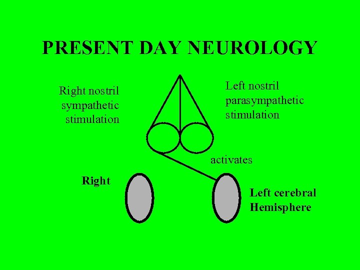 PRESENT DAY NEUROLOGY Right nostril sympathetic stimulation Left nostril parasympathetic stimulation activates Right Left