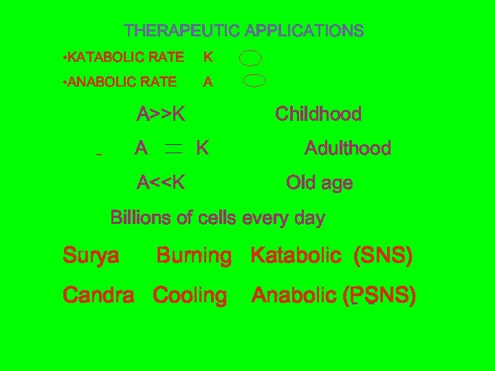 THERAPEUTIC APPLICATIONS • KATABOLIC RATE K • ANABOLIC RATE A A>>K A Childhood K