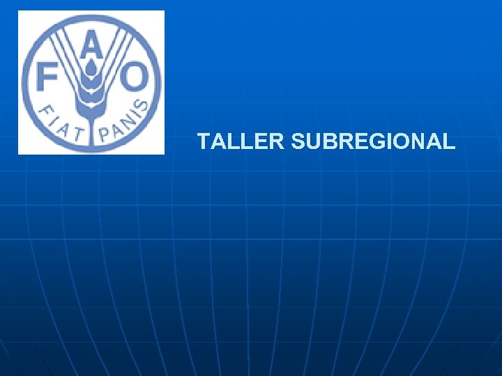 TALLER SUBREGIONAL 