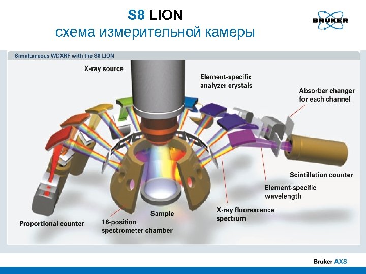S 8 LION схема измерительной камеры 