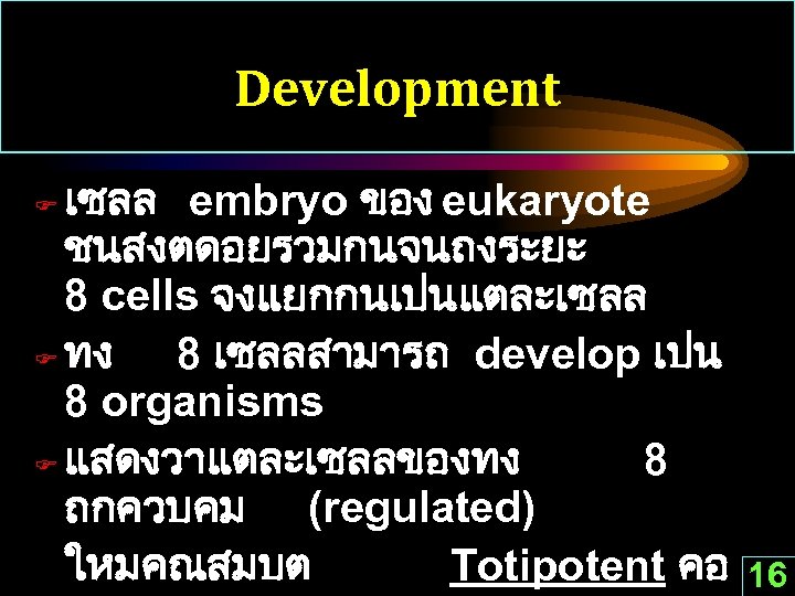 Development เซลล embryo ของ eukaryote ชนสงตดอยรวมกนจนถงระยะ 8 cells จงแยกกนเปนแตละเซลล F ทง 8 เซลลสามารถ develop