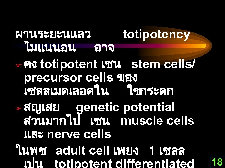 ผานระยะนแลว totipotency ไมแนนอน อาจ F คง totipotent เชน stem cells/ precursor cells ของ เซลลเมดเลอดใน