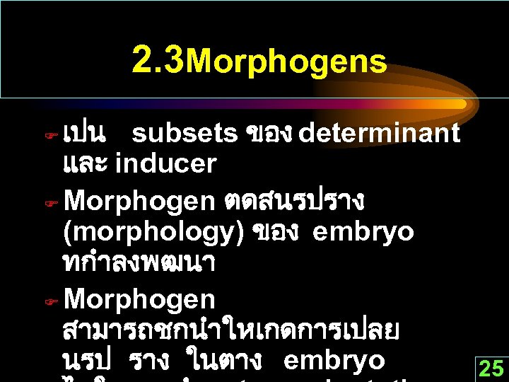 2. 3 Morphogens เปน subsets ของ determinant และ inducer F Morphogen ตดสนรปราง (morphology) ของ