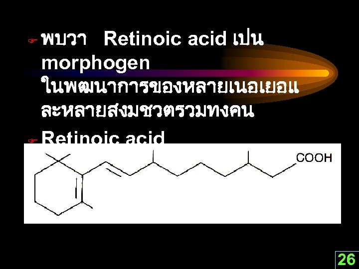 พบวา Retinoic acid เปน morphogen ในพฒนาการของหลายเนอเยอแ ละหลายสงมชวตรวมทงคน F Retinoic acid ยง สามารถทำงานรวมกบ hormones อนใน
