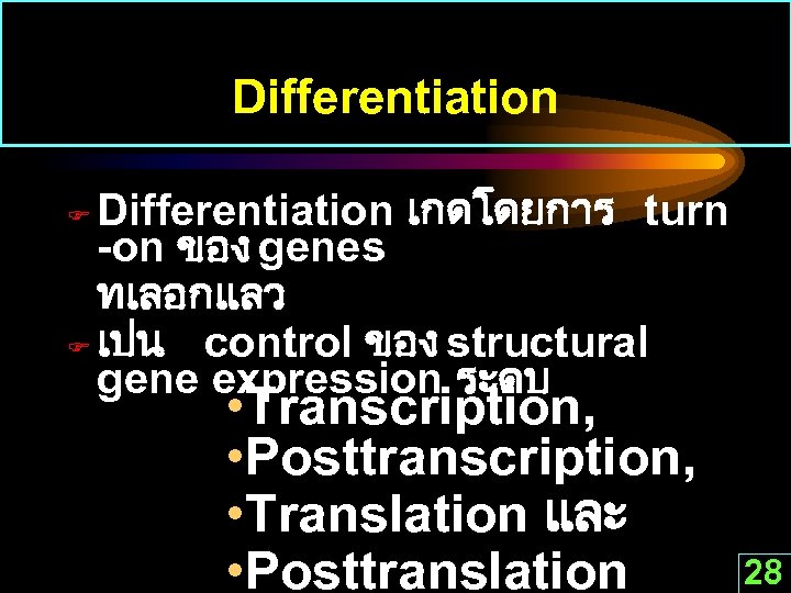 Differentiation เกดโดยการ turn -on ของ genes ทเลอกแลว F เปน control ของ structural gene expression