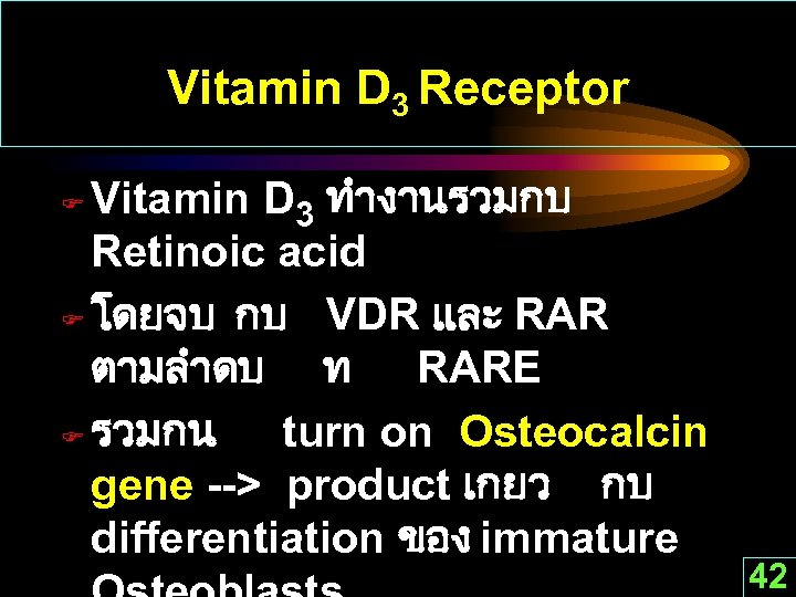 Vitamin D 3 Receptor Vitamin D 3 ทำงานรวมกบ Retinoic acid F โดยจบ กบ VDR