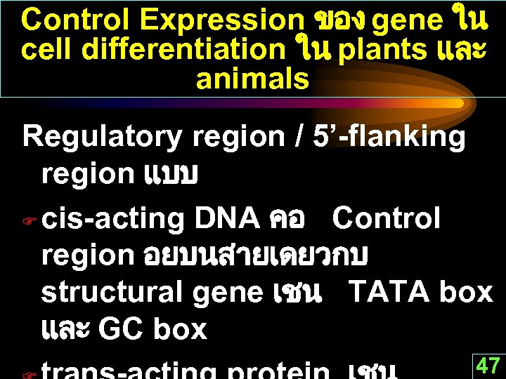 Control Expression ของ gene ใน cell differentiation ใน plants และ animals Regulatory region /