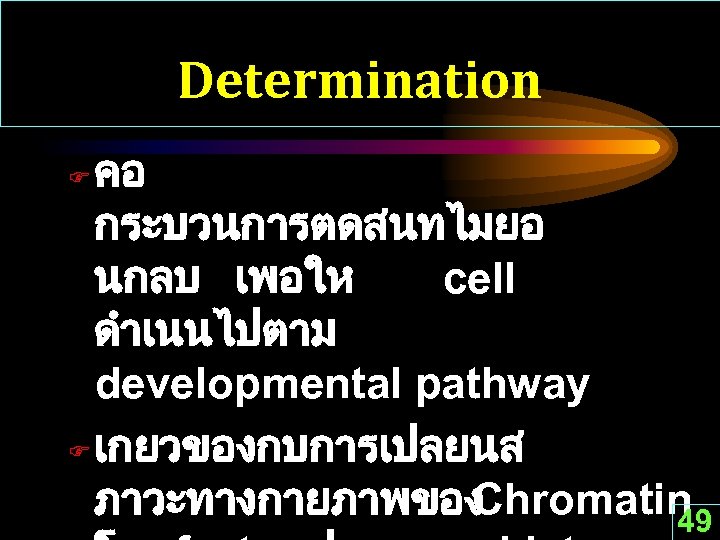 Determination คอ กระบวนการตดสนทไมยอ นกลบ เพอให cell ดำเนนไปตาม developmental pathway F เกยวของกบการเปลยนส ภาวะทางกายภาพของ Chromatin 49
