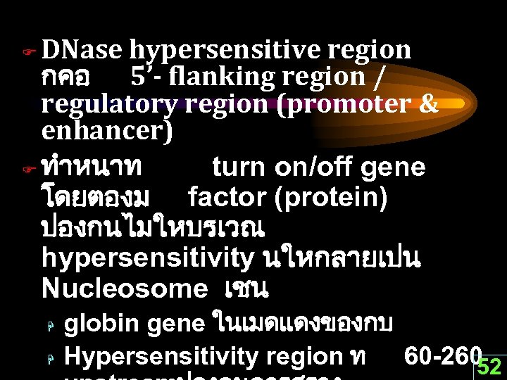 DNase hypersensitive region กคอ 5’- flanking region / regulatory region (promoter & enhancer) F